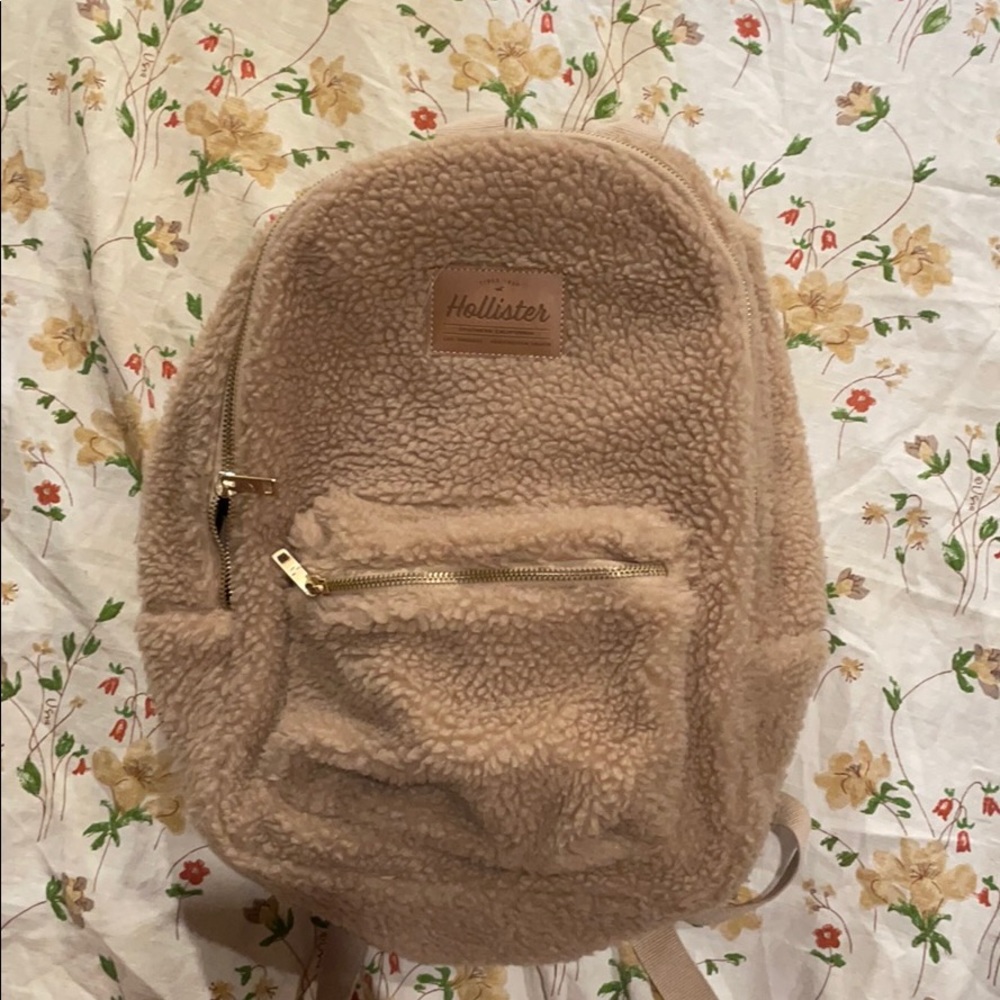 Hollister small backpack